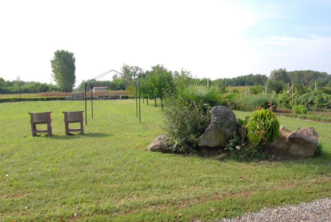 Agriturismo La Biandrina Carpignano Sesia Bagian luar foto