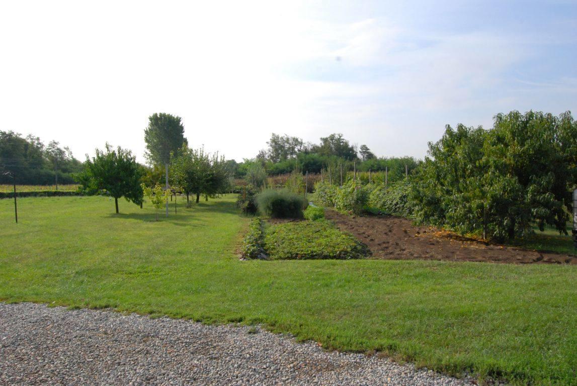 Agriturismo La Biandrina Carpignano Sesia Bagian luar foto