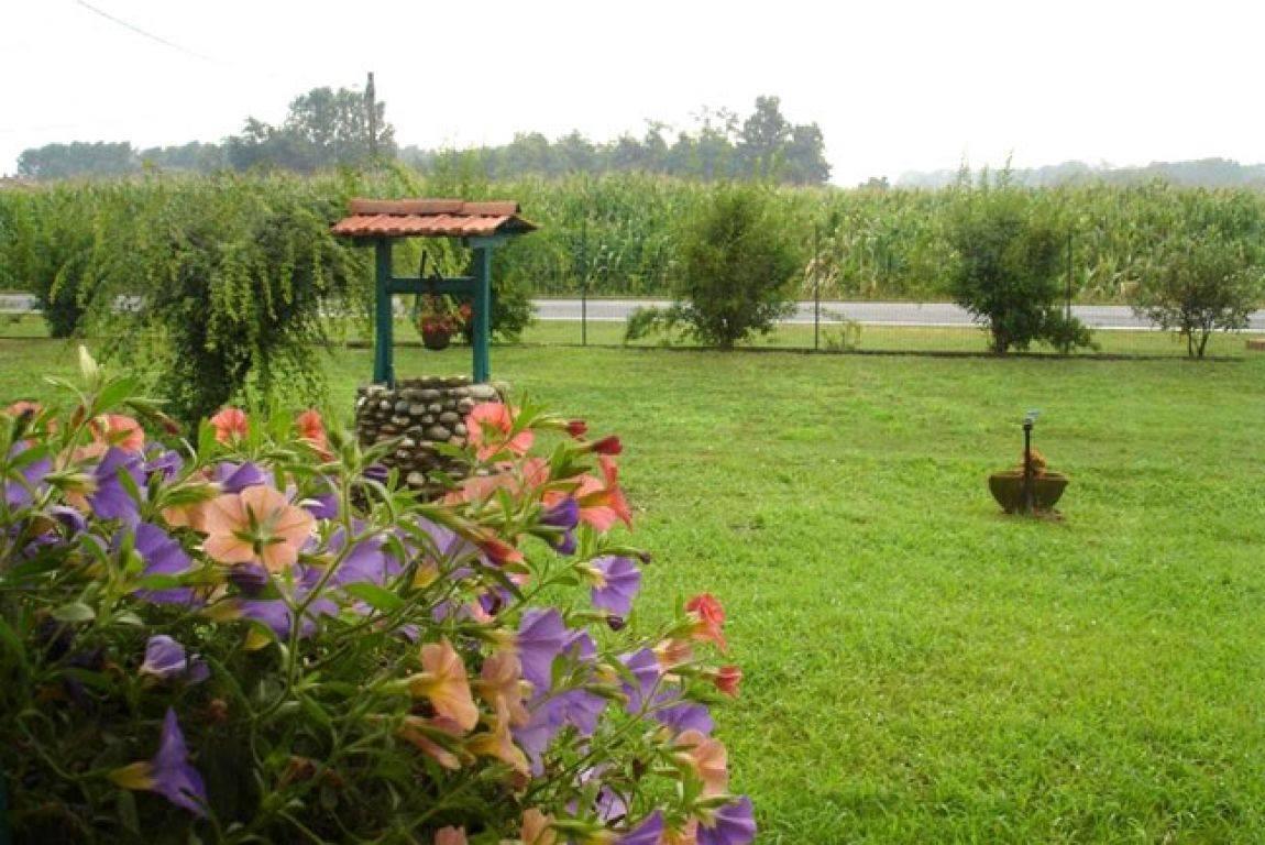Agriturismo La Biandrina Carpignano Sesia Bagian luar foto